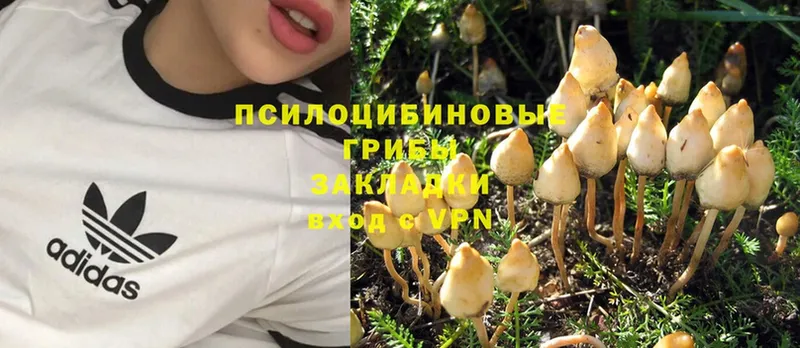 цены   кракен сайт  Галлюциногенные грибы Magic Shrooms  Верхоянск 